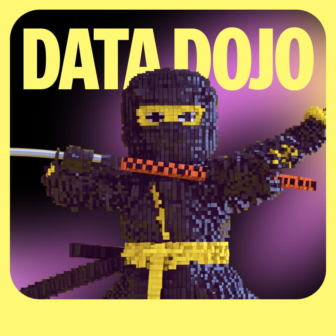 Data Dojo: Тренировка и встреча на Young Con