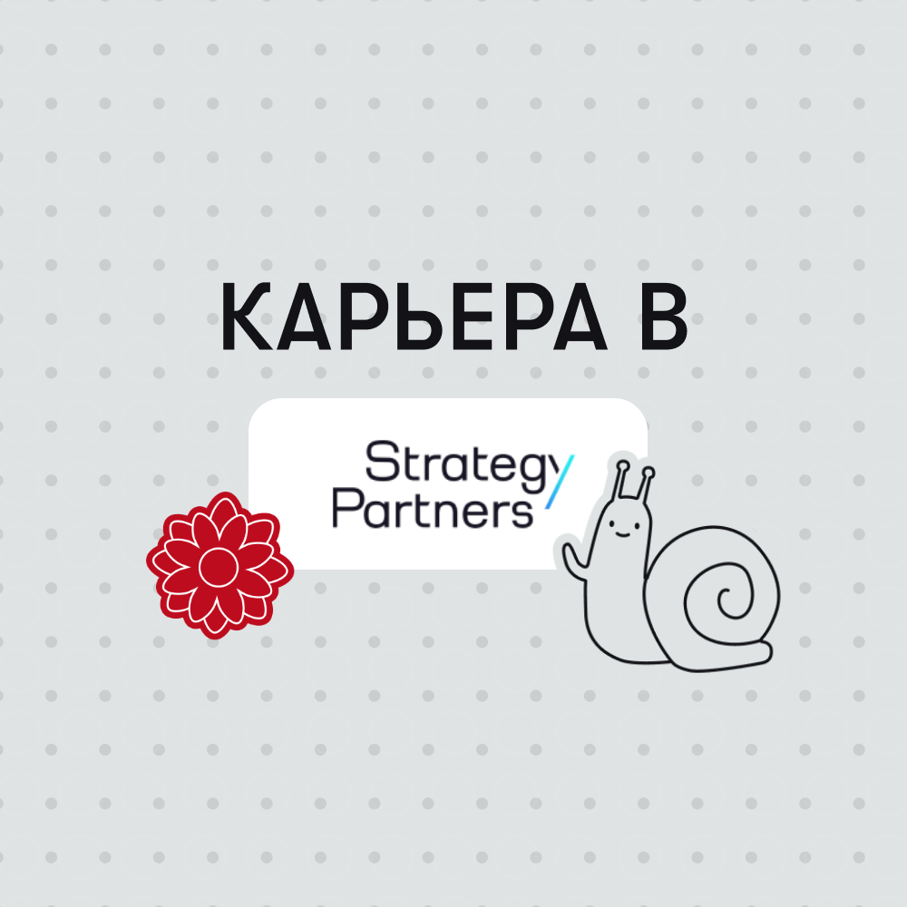 Карьера в Strategy Partners