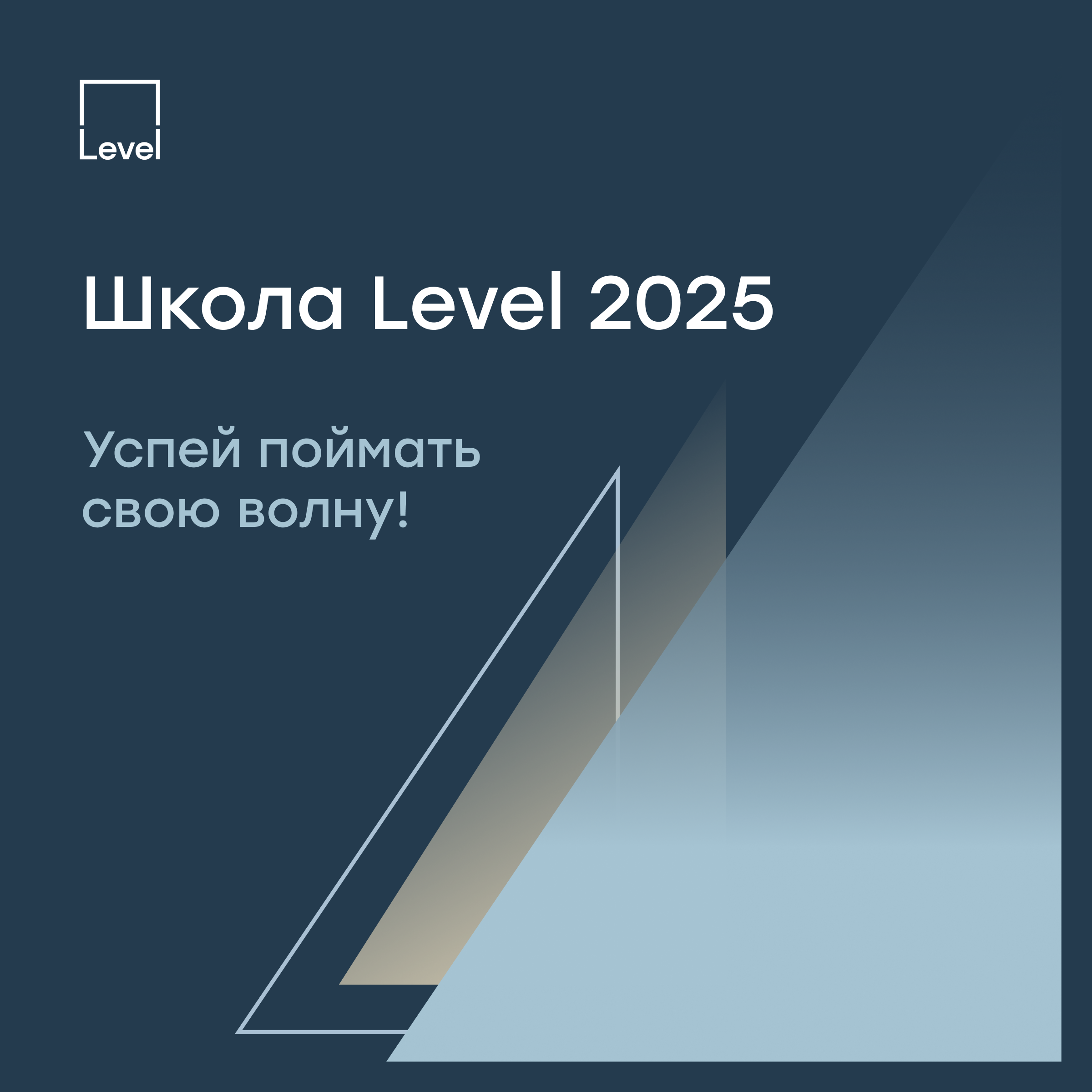 Школа Level