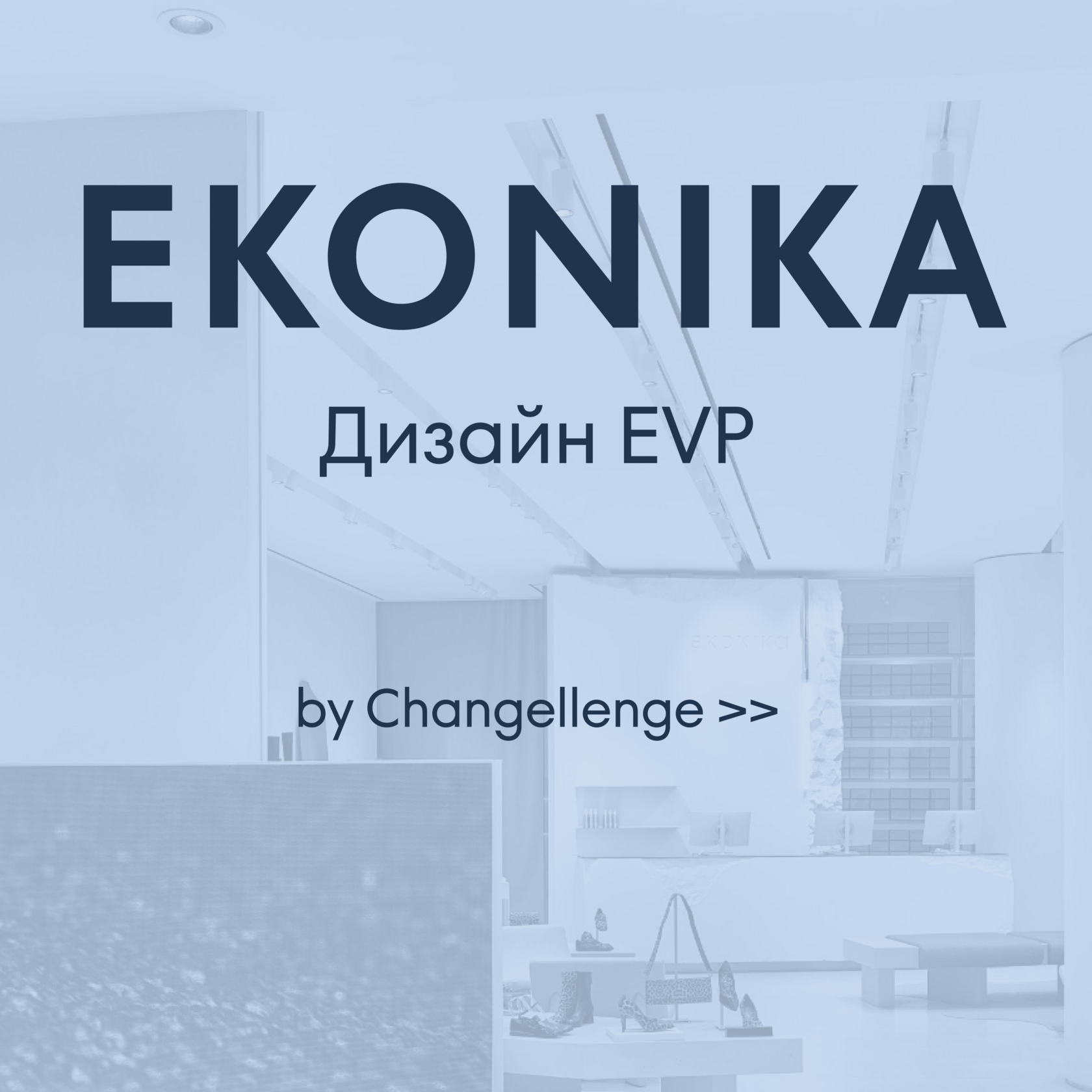 Дизайн EVP для EKONIKA