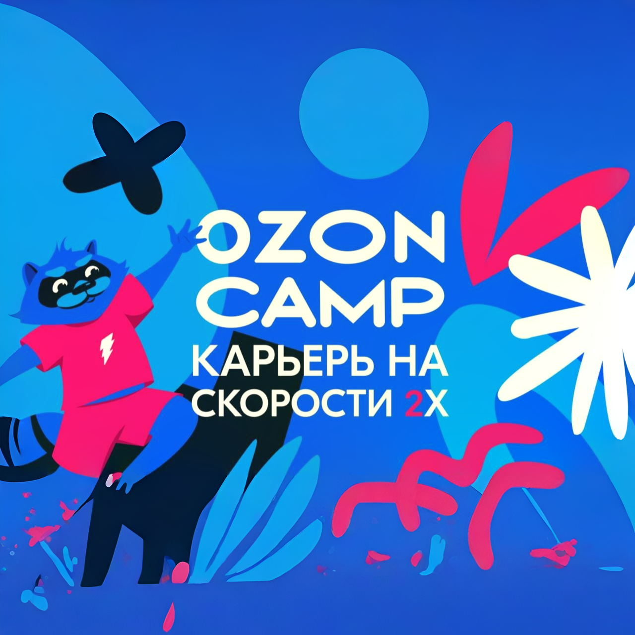 OZON CAMP