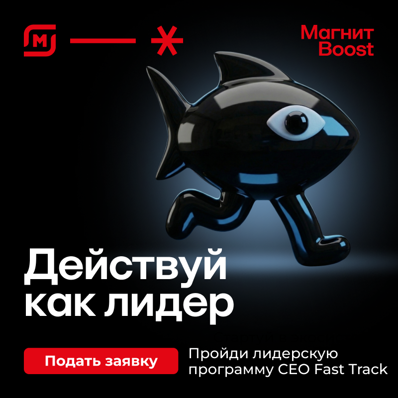 Программа CEO FAST TRACK