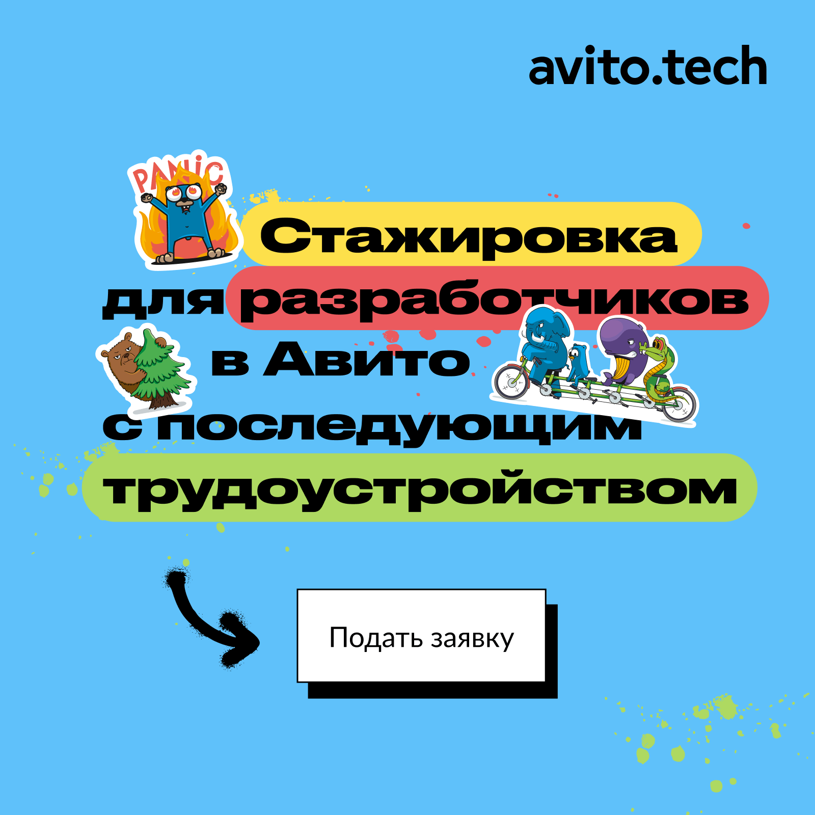 Стажировка в Авито для разработчиков студентов: удаленно, бэкэнд, ios,  фронтенд