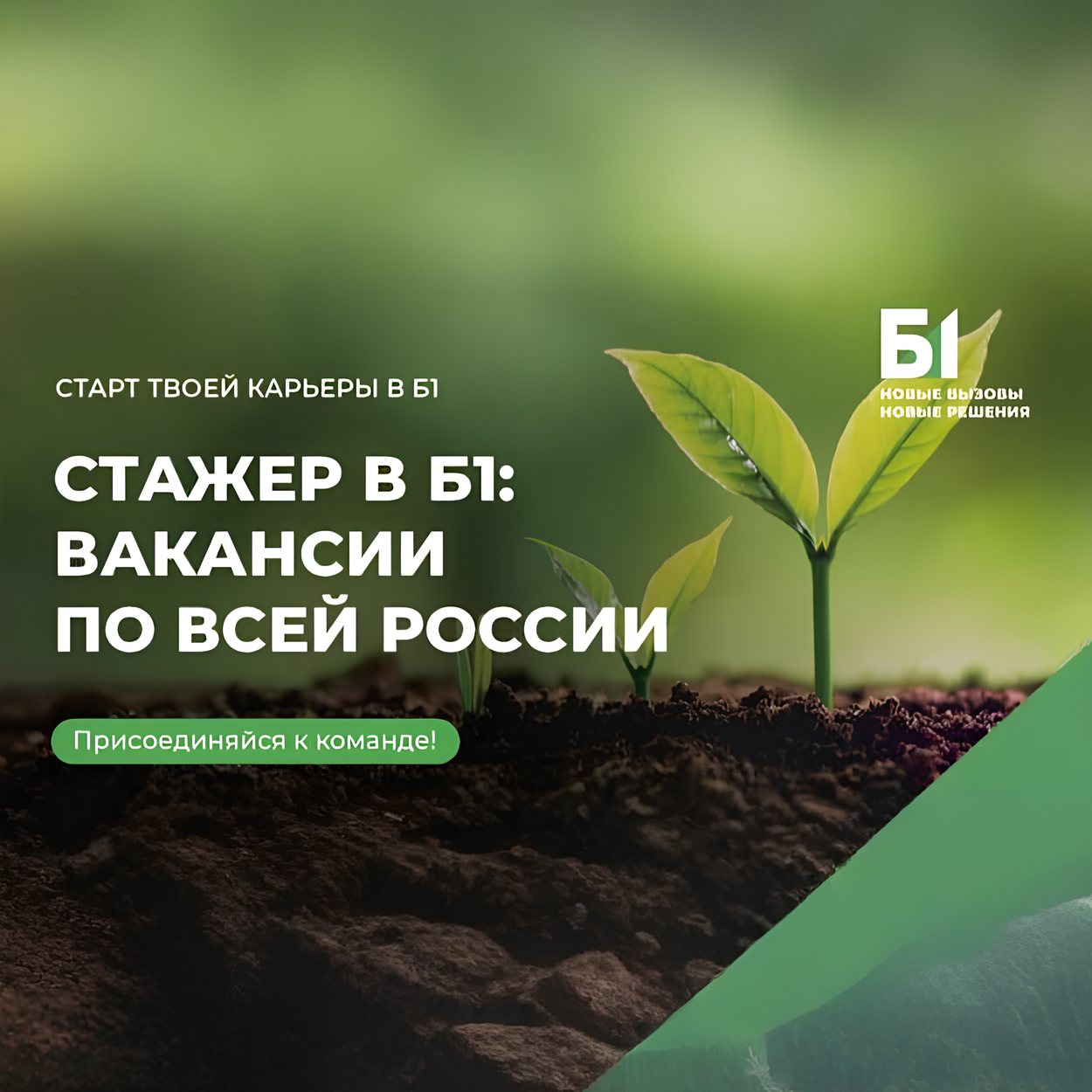Стажировка в Б1