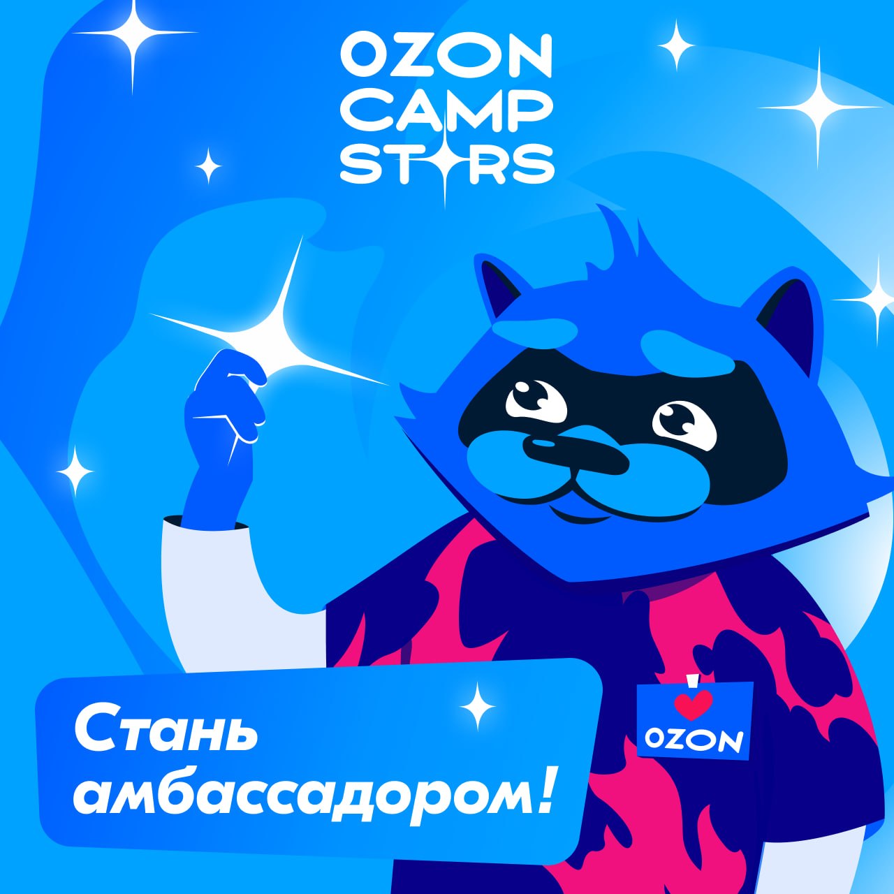 Амбассадорская программа