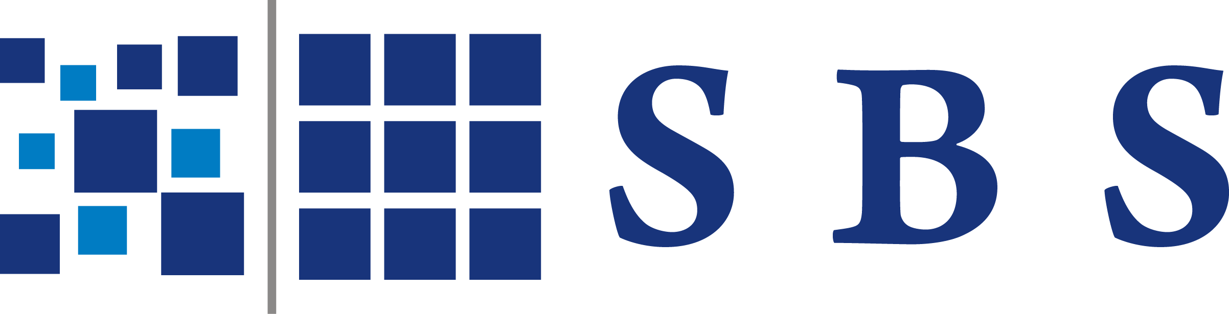 SBS Consulting