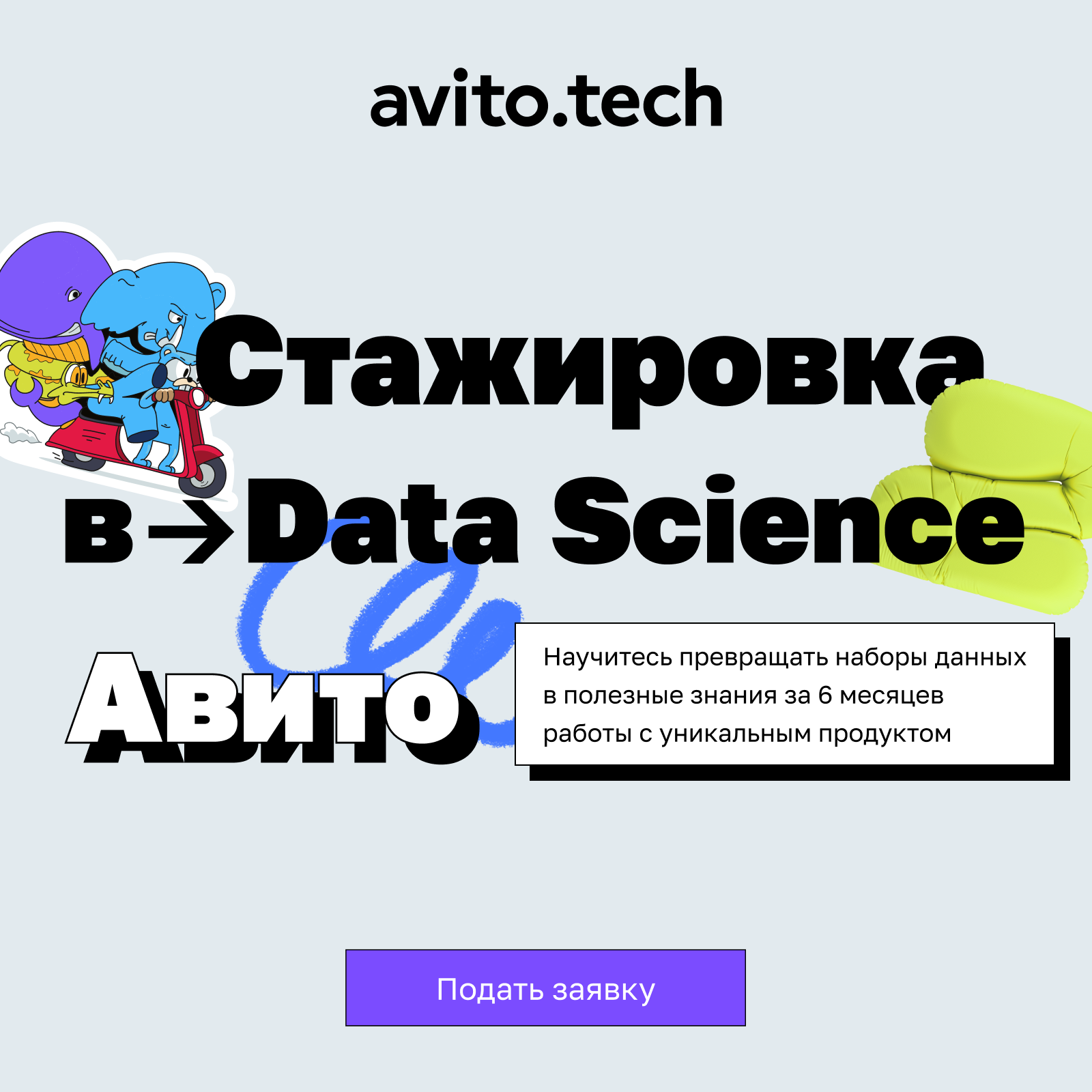 Data Science-стажировка от Авито
