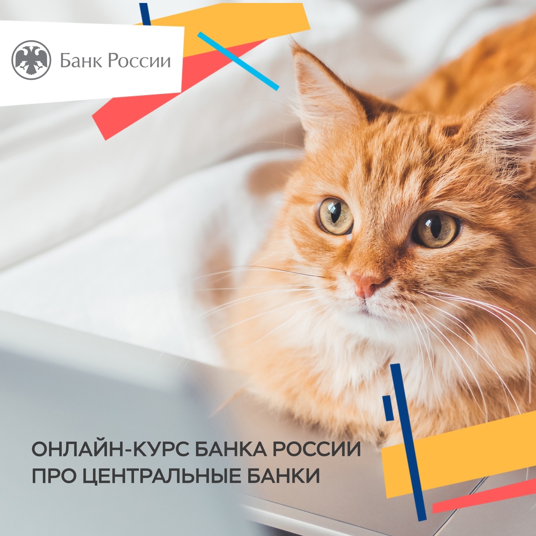 Как работают центральные банки?