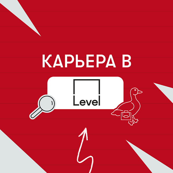 Карьера в Level