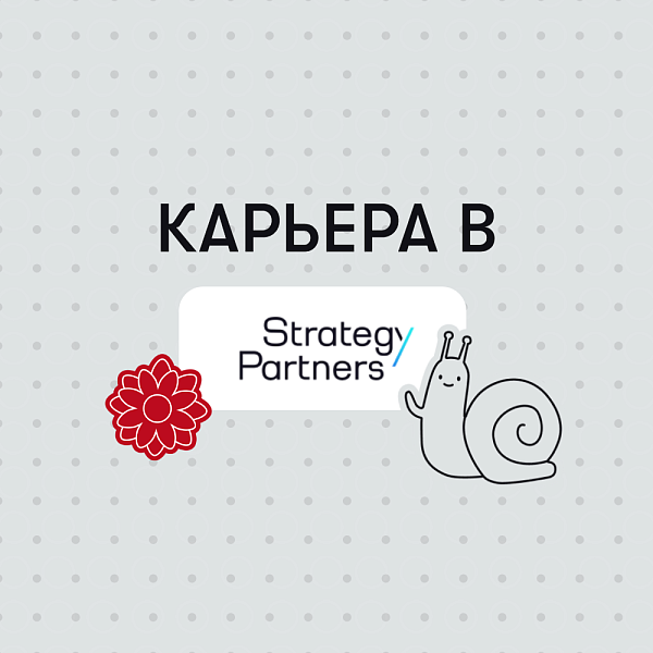Карьера в Strategy Partners