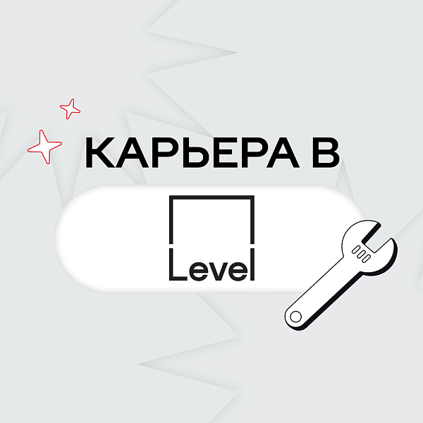 Карьера в Level